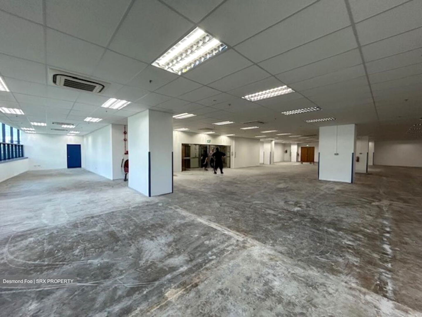 Serangoon North Avenue 3 (D19), Factory #581721671